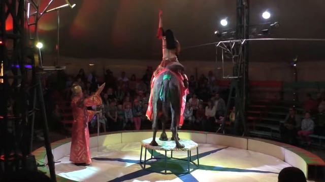 2016 06 04 Цирк бродячий