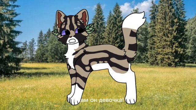 Ещë одно видео от сью!