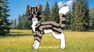 Ещë одно видео от сью!