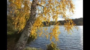 "Шагает осень "