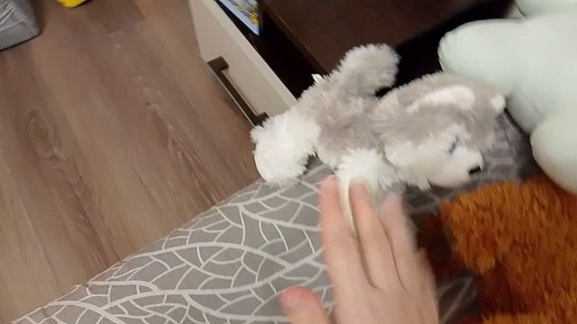 Школьное утро с басикам 💟