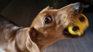 Играем в мяч