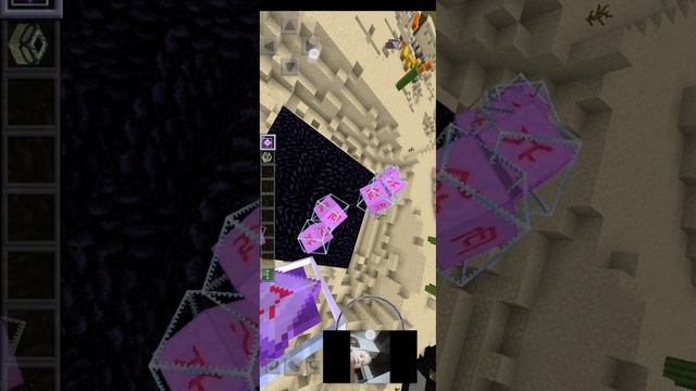 SVID_20260410_130949_1.mp4