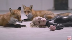 Мой Зверинец