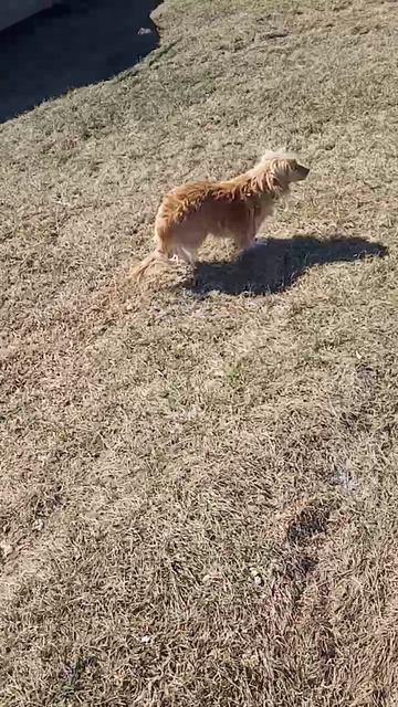 Где-то в России!!!