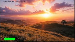 Смотрим презентации от Корпорации Презентаций