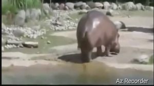 Лучшая реклама для букмекера