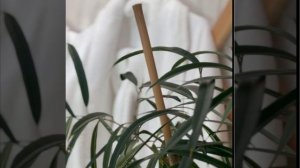 09F0F515-06FB-4344-8910-B84B71D0692A