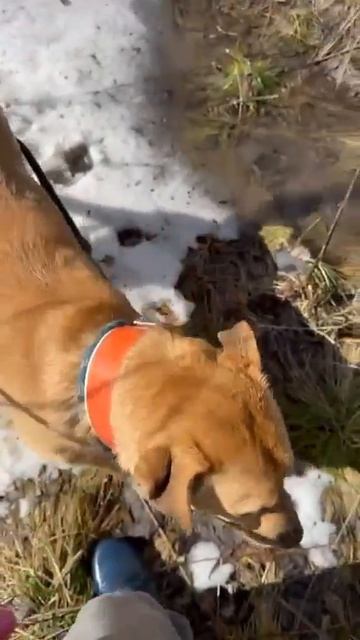 Прогноз на воскресенье: дождь, солнце, град и радость прогулок. Вчера всё было:)