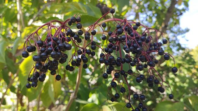 Один из дней города Евпатории | 8 сентября 2021 год | Крым ХАН БАТОН XAH 6ATOH | VID_20210908_145728