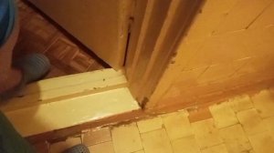 Наш тихий вечер ☺️