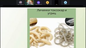 Вебинар от 31.03.26