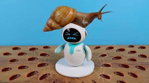Тараканы и Улитка довели робота Eilik до истерики!