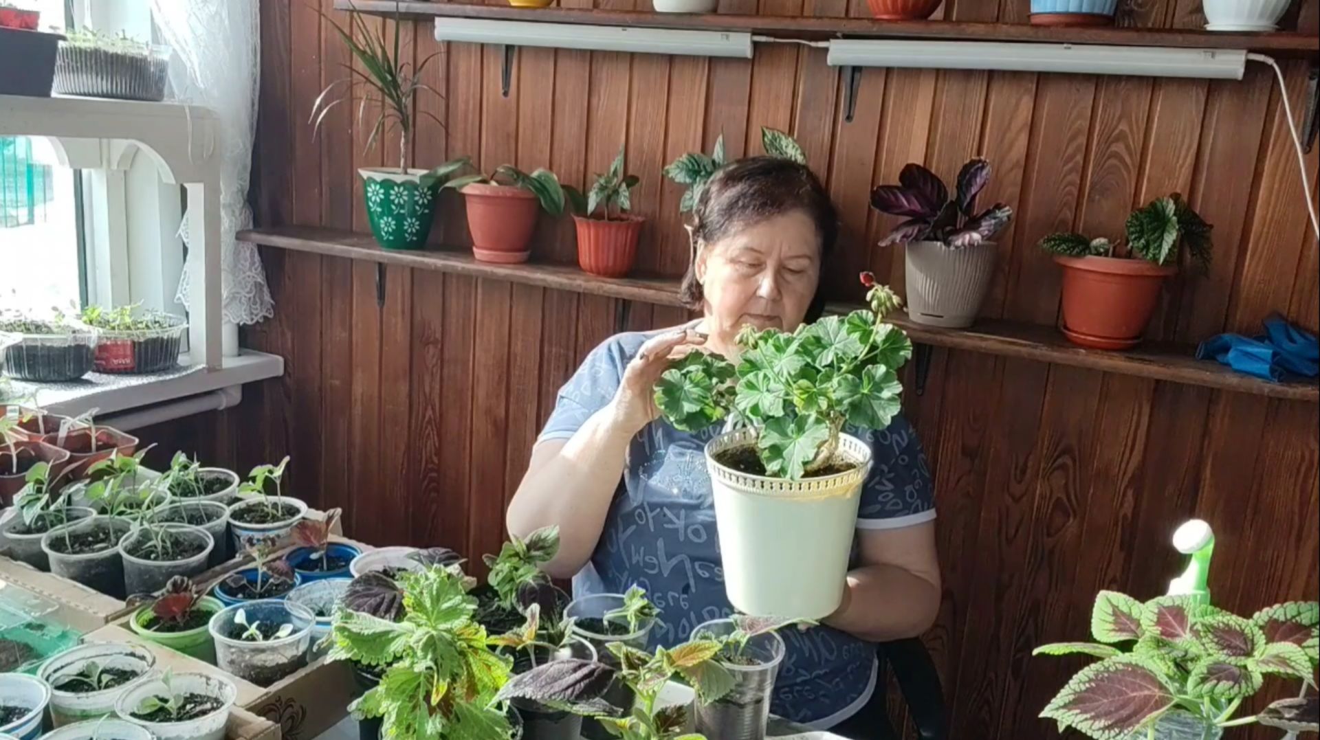 Холодец на Пасху.)) Ругаю кота)) Последние посадки.))