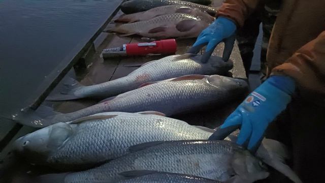 Рыбалка на Станьях. 9 апреля.