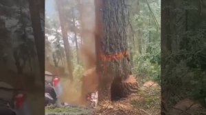 Пилишь, пилишь, и вдруг неожиданно что-то происходит