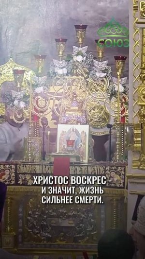 Слово дня - жизнь