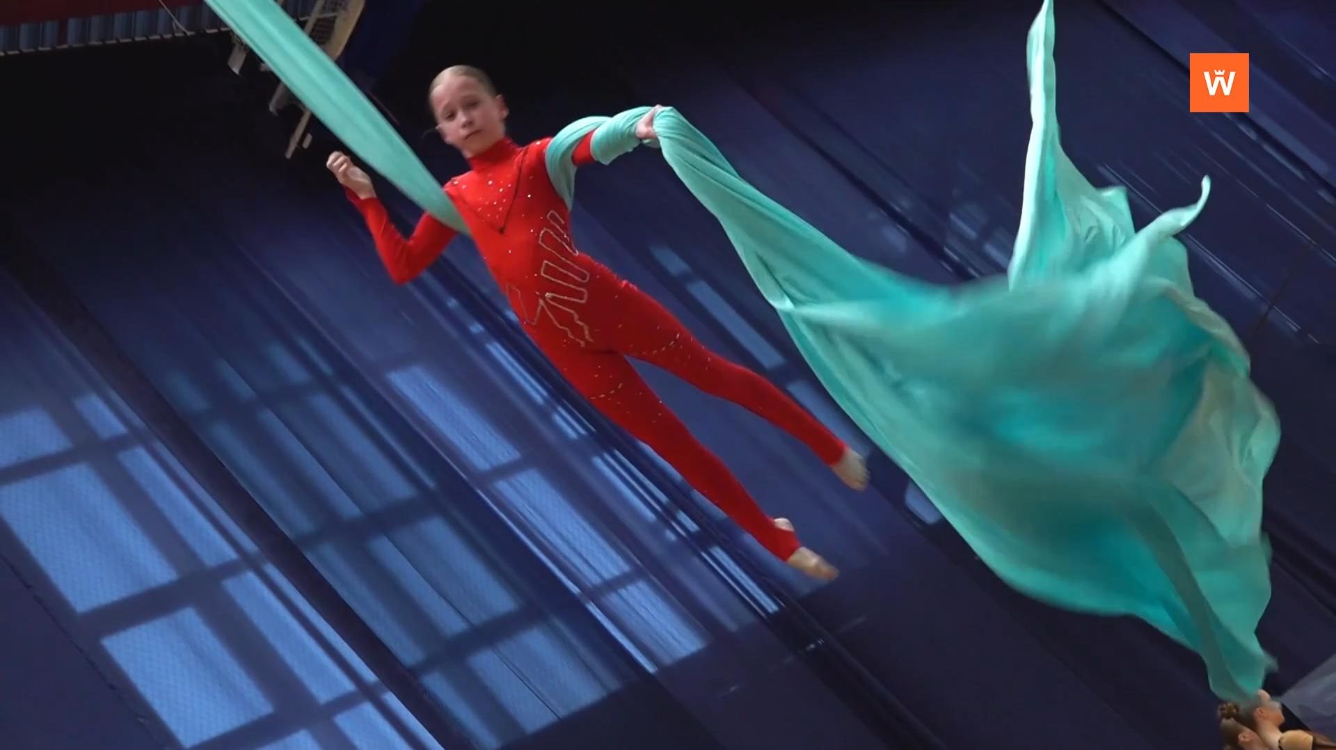 «Спорт 47»: лыжные гонки, пилонный спорт и смешанные единоборства