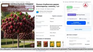 На маркетплейсах продают сорта невИИданных ягод