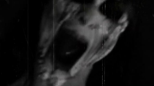 Интро Канала