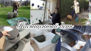 VLOG🇩🇪: МНОГО ПЕРЕДЕЛАЛА ДЕЛ🏠УБРАЛА КУРТКИ/ ПОМЫЛА ОКНА 🪟 НОВЫЕ КАШПО🌺