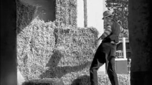 Тренируй левую (1936) 1