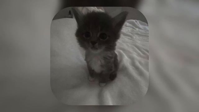 твой плейлист 💤 песни рандом (speed Up )