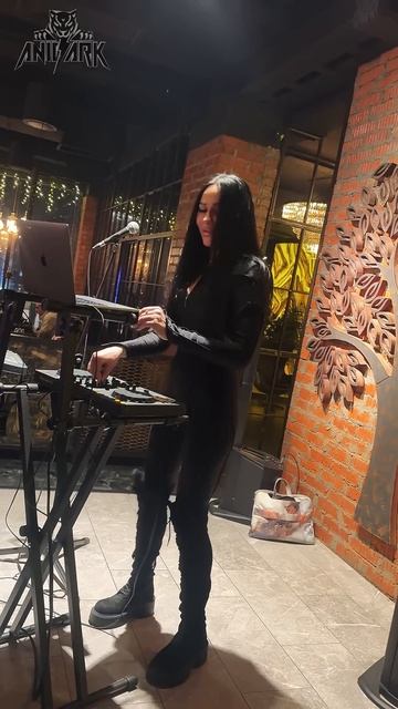 BARVIKHA lounge DJset ANIDARK #music #dj