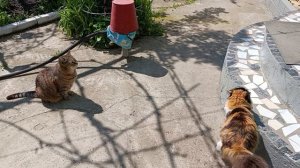 Следующей заходи