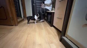 ИСПОРТИЛА ДОРОГУЮ ВЕЩЬНАРЯДЫ С WBМАМА БУНТУЕТ