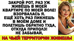 Истории из жизни| Муж захотел командовать мной? Ну что ж... |Аудио рассказы|Жизненные истории