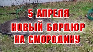 5 апреля. Устанавливаю новый бордюр под смородину