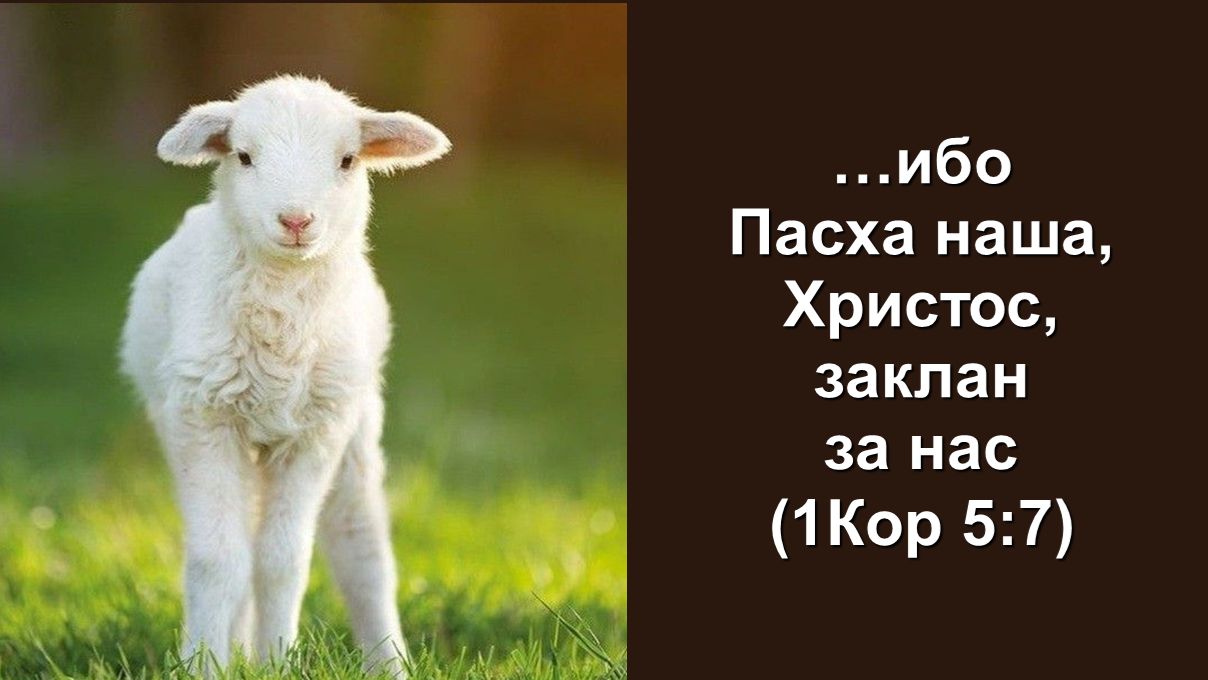 Ибо Пасха наша, Христос, заклан за нас (1-е Коринфянам 5:7)