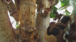 Про Экватор!