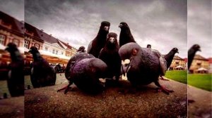 Мой 2 канал и фонк