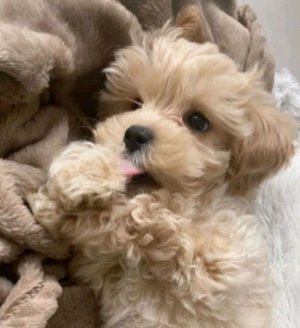 Выбираем что мне в итоге снимать ★