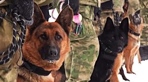 Большая область | 11.04.2026