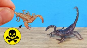 Вот почему Скорпион может умереть семь раз в течении жизни!