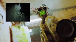 STRAY прохождение игры на PS5. Трущобы-Часть 2. Шестая часть🍿