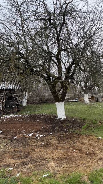 Снег ❄️ в апреле ) #снег #весна #апрель