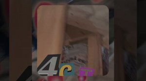 1000055618.mp4 (Собака наблюдает за устройством лестницы на 2-ой этаж в доме А-фрейм)