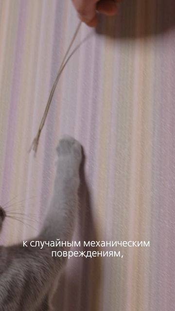 ЗаМУРчательный тест-драйв обоев KERAMA MARAZZI