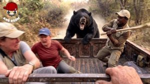 70 Случаев на Сафари которые попали в объектив видеокамеры.