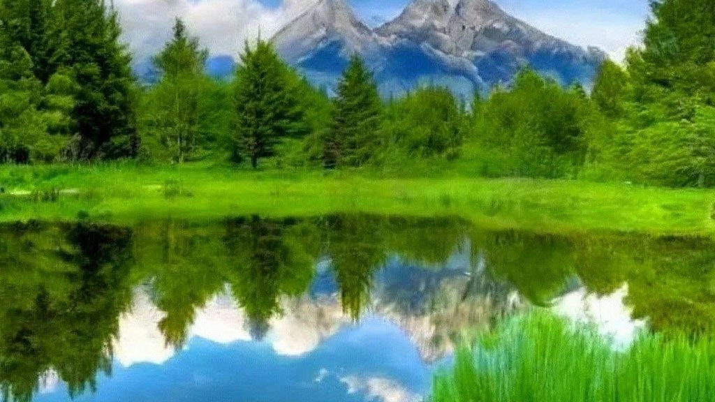 Коран сура  Фатир чтец Мухаммад аль-Факих