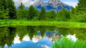 Коран сура  Фатир чтец Мухаммад аль-Факих