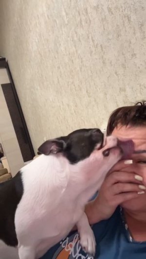 ЛЮБОВЬ❤️#top #любовь #юмор #собака