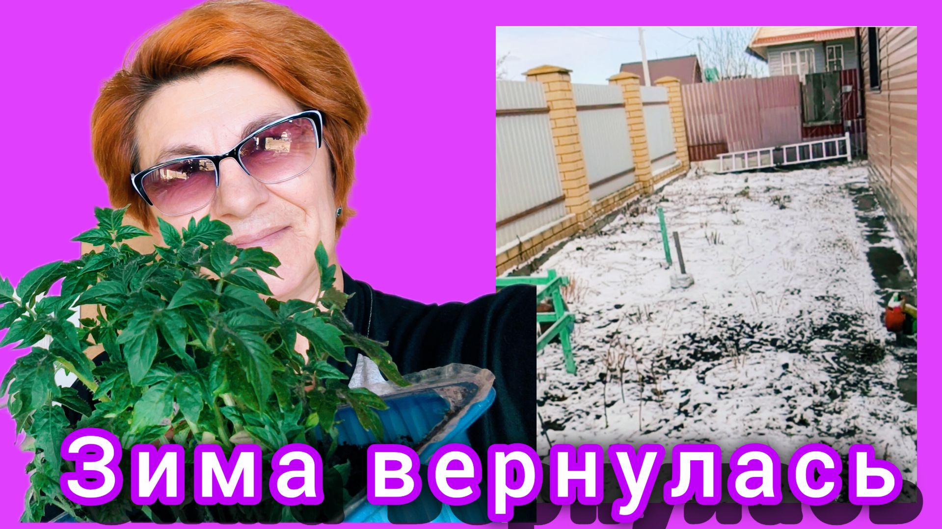 Теплица. Обзор рассады 🍅 ещё одна пикировка.