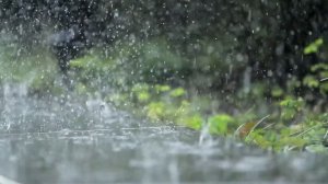 Звуки природы, шум дождя // Звуки дождя и грома для сна