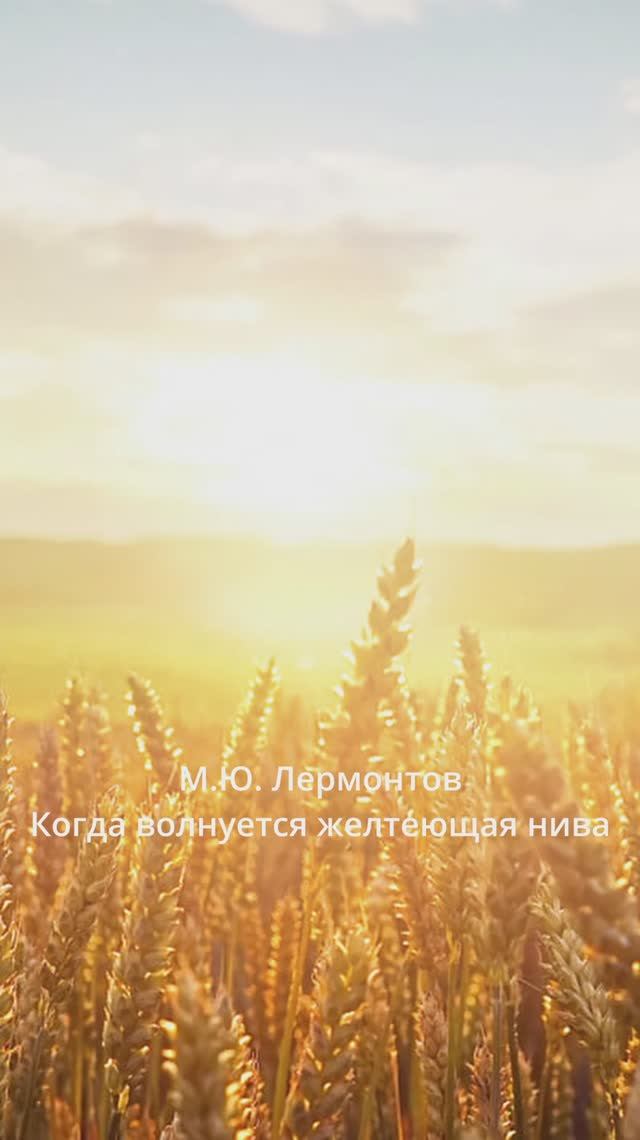 М.Ю. Лермонтов - Когда волнуется желтеющая нива