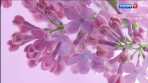 Вести Карачаево-Черкесия 09.04.2026